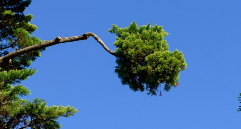 Только после вмешательства прокуратуры придомовая территория жительницы Камешковского района стала безопасной