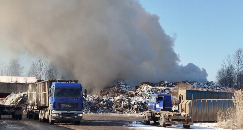 В Гусь-Хрустальном незаконная свалка нанесла ущерб природе в 5 млн рублей