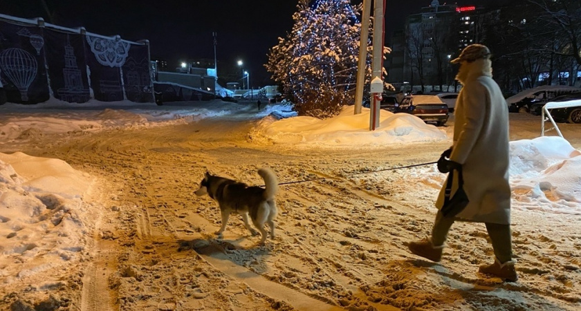"Ничего не жди, никогда не жди": мудрая цитата Ремарка о том, как надо относиться к жизни