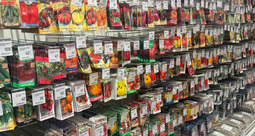 Не верьте упаковке: 7 фраз на пакетиках с семенами, после которых урожая не видать