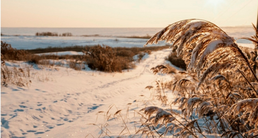 Россельхознадзор подал в суд на владельцев земли в Александровском районе