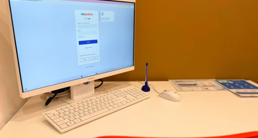 Жители 33-го региона в 2025 году подали на Госуслуги более 126 тысяч заявлений