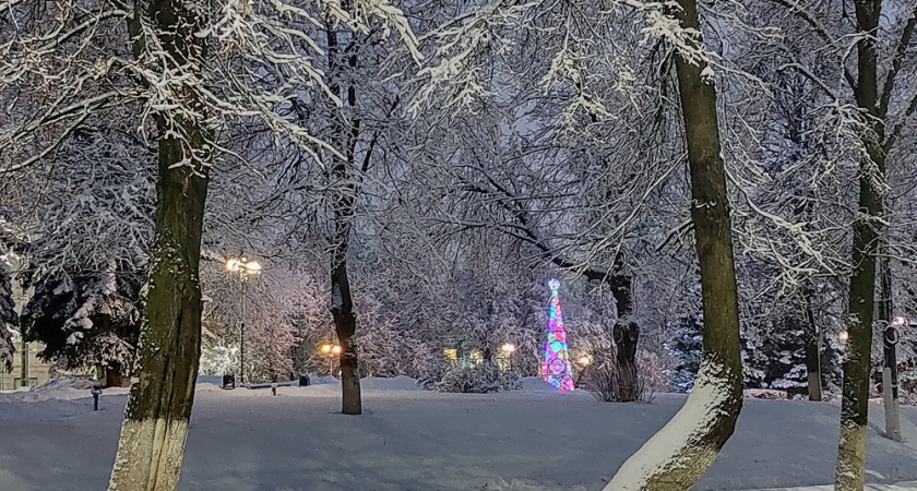 Аномальные морозы до -36°С накроют Владимирскую область на следующей неделе