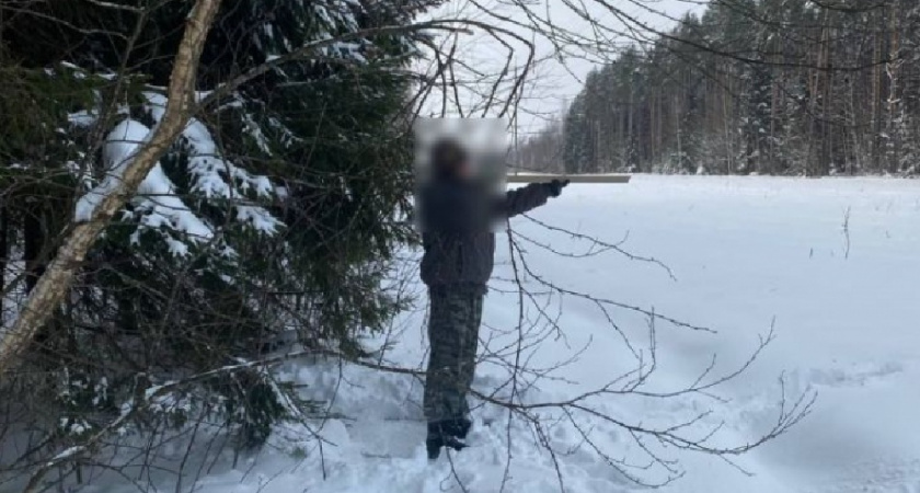 Расправившегося с лосём браконьера задержали в Камешковском районе