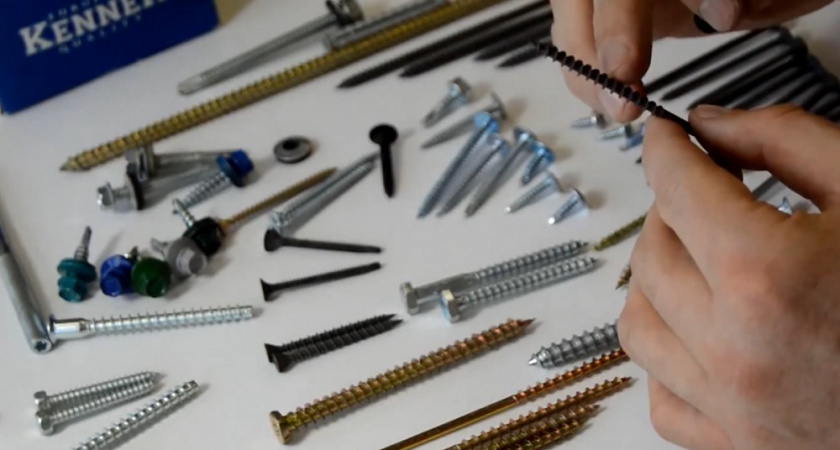 Черные или светлые саморезы: 3 простых правила выбора от мастера - как не ошибиться при покупке