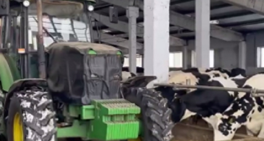 В Ковровском районе модернизировали крупный животноводческий комплекс