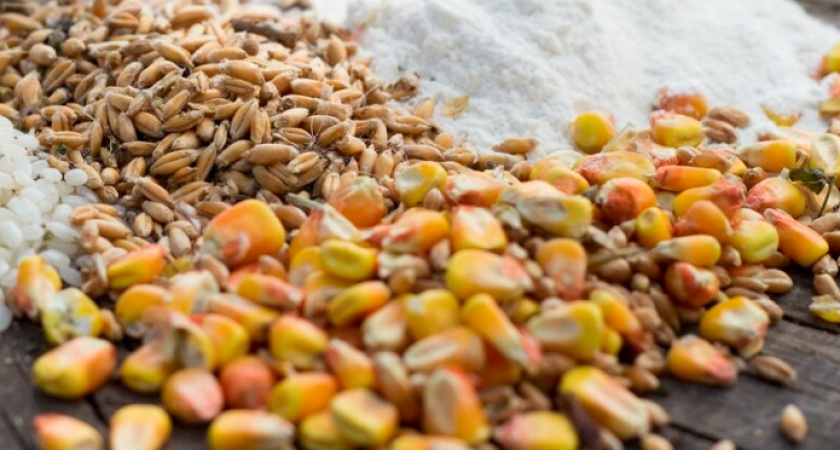 Производителей зерна во Владимирской области уличили в нарушении требований безопасности