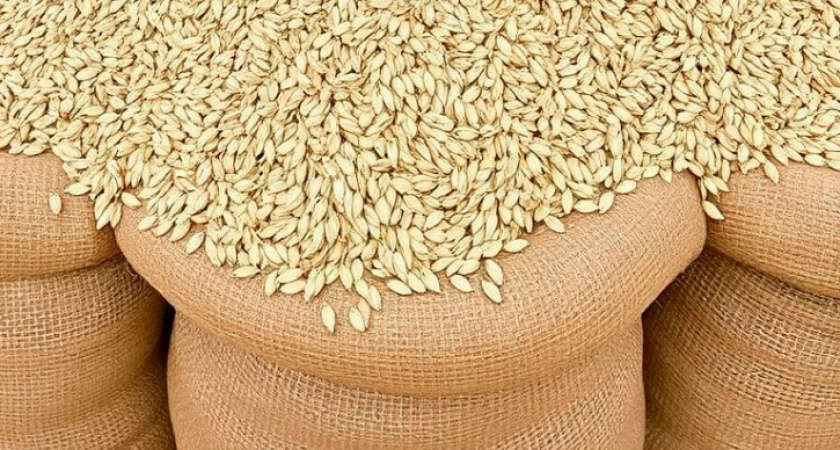 Во Владимирской области обнаружен фуражный корм, произведённый «авансом»