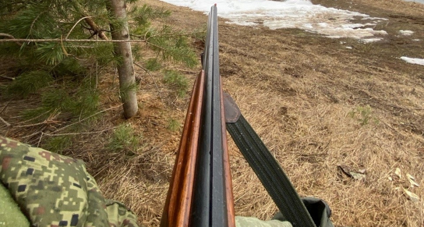 В Меленковском районе принимают меры по сокращению численности волков