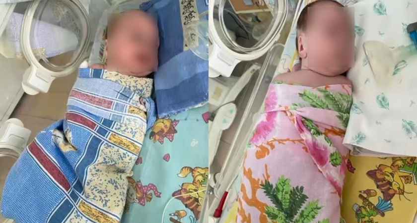 Двойняшек весом 800 граммов спасли врачи владимирского Перинатального центра