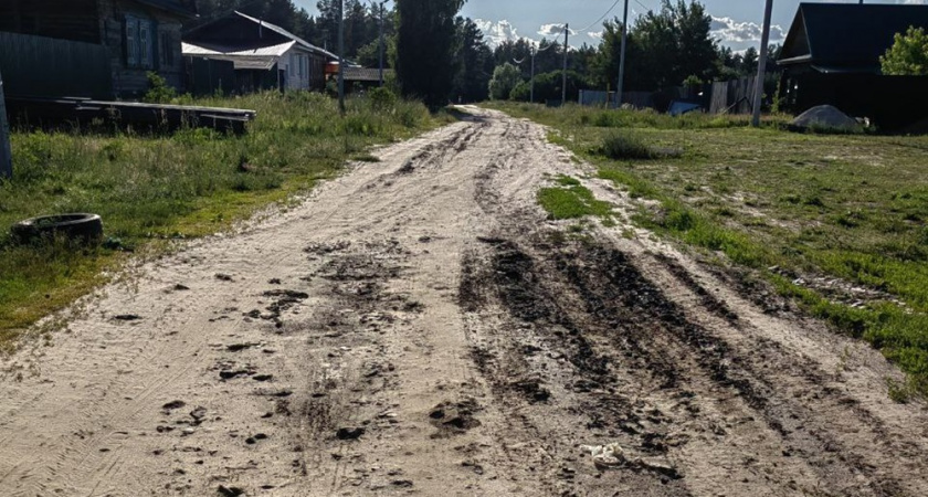 Жители меленковской деревни через суд добились ремонта дороги