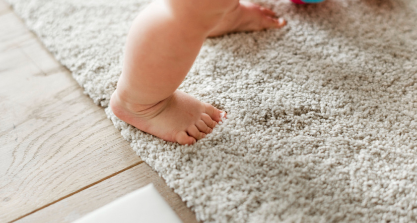 Умная хозяйка научила меня мочить стакан и водить по ковру: теперь так делаю всегда — и вот для чего