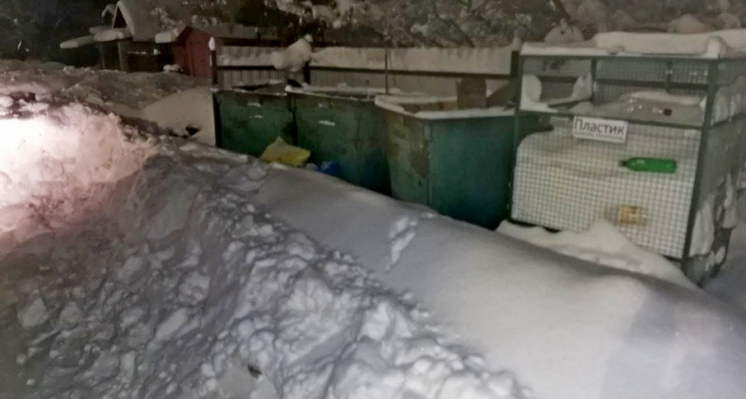 Прокуратура во Владимирской области борется за доступ к мусорным контейнерам