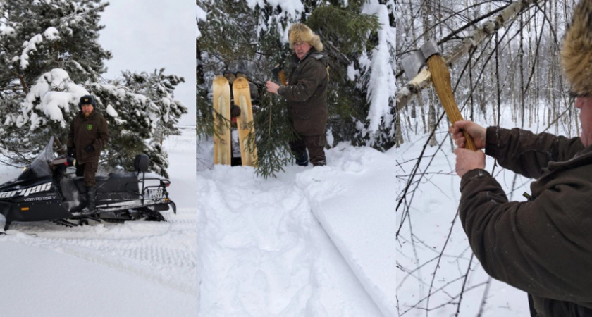 Во Владимирской области идёт зимний учёт фауны в охотничьих зонах и заповедниках