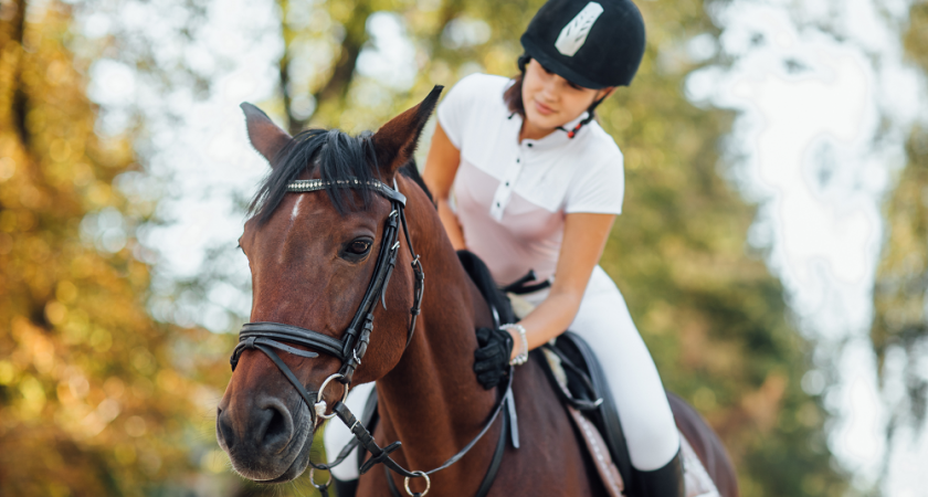 Всероссийские соревнования по конном спорту пройдут в посёлке Красное Эхо