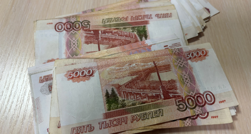 Жителей Владимирской области обязали отчитаться о доходах по новой форме до 30 апреля текущего года