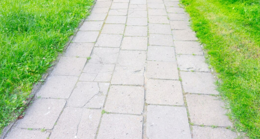 Нашла способ избавиться от сорняков на садовых дорожках: натуральное средство — полила и забыла