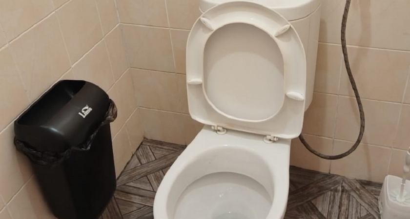 Как без труда убрать грязь под ободком унитаза - понадобится лимонная кислота 