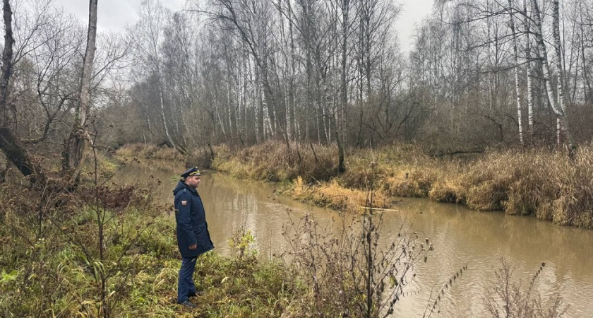  В Петушинском районе навозом отравили две реки