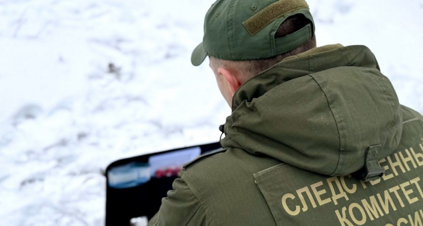 Рецидивист забил собутыльника во время пьяной ссоры в Гусь-Хрустальном