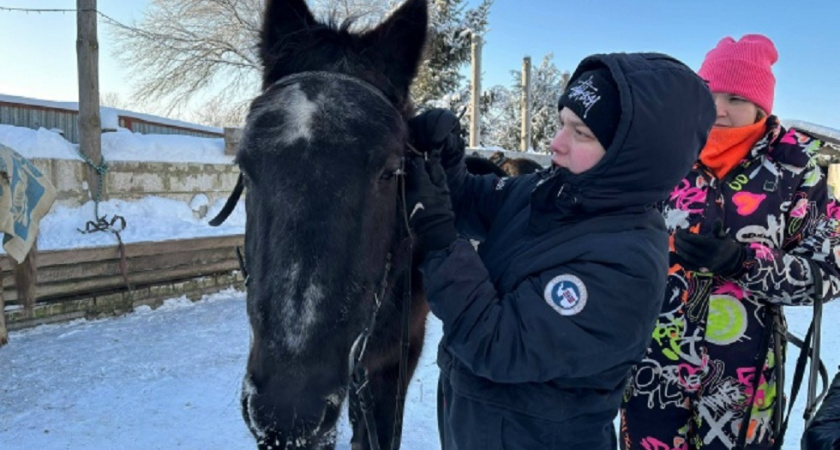 Владимирских добровольцев научат искать людей верхом на лошадях