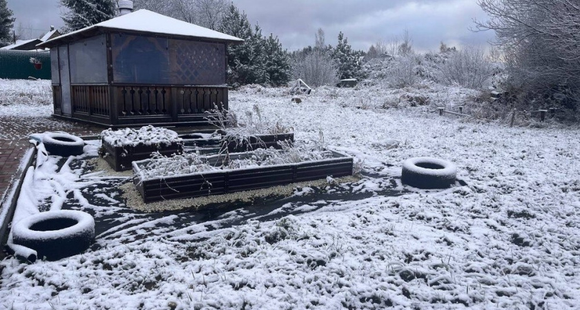 Лунный календарь садовода на февраль 2026: фазы луны, сроки посевов и план работ по дням