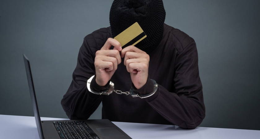 Владимирская полиция стала на 17% эффективнее ловить интернет-аферистов 