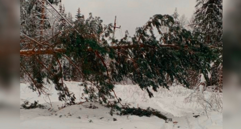 Владимирцев предупредили о риске обморожения при длительном нахождении на улице