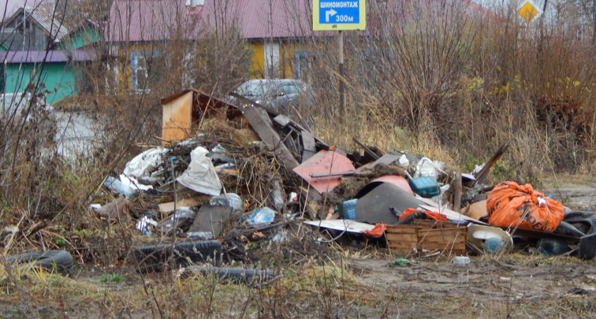 Жалобы на мусор во Владимирской области сократились почти вдвое за год