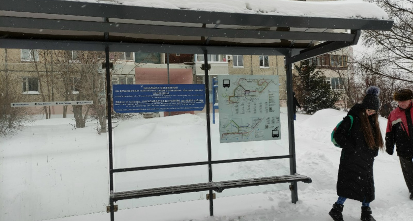 "Весна в феврале? Как бы не так!": Роман Вильфанд поделился прогнозом на конец зимы в Центральной России