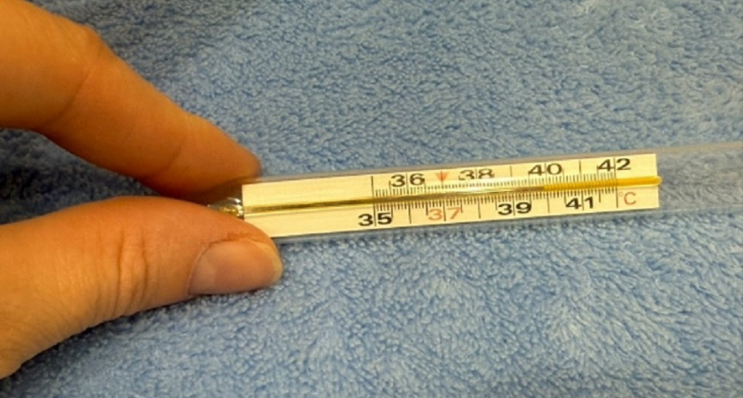 За неделю заболеваемость ОРВИ во Владимирской области выросла на 21,8%  