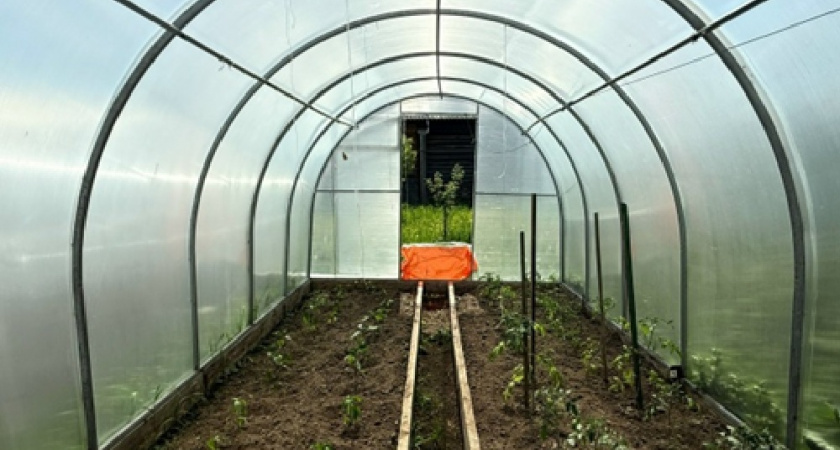 Зимняя теплица, которая греет себя сама: мой эксперимент с «землянкой» на участке — забудьте про отопление