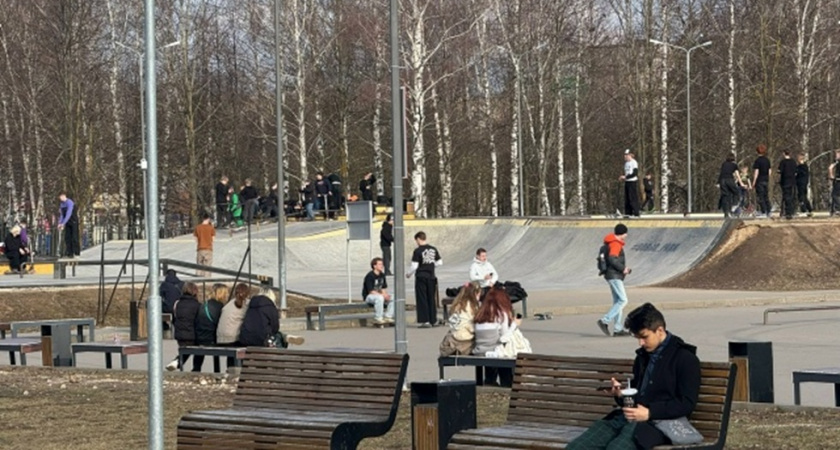 Уровень трудоустройства владимирской молодежи составляет 85,5%