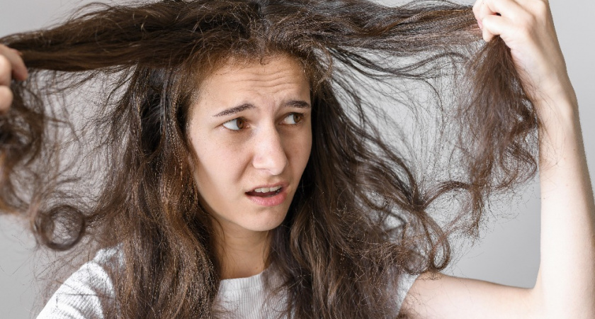 Волосы сухие и ломкие даже после маски: что делать, если ничего не помогает вернуть здоровый вид волосам — советы опытного мастера