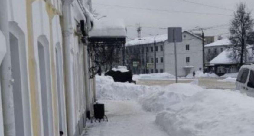 В Коврове у вокзала пробежал лось