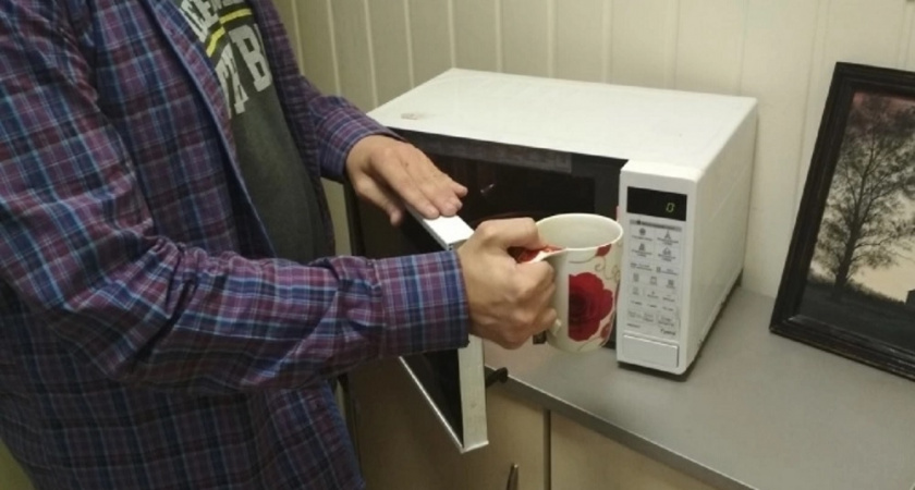 Микроволновка греет только тарелку? Простые хитрости, которые исправят ситуацию раз и навсегда