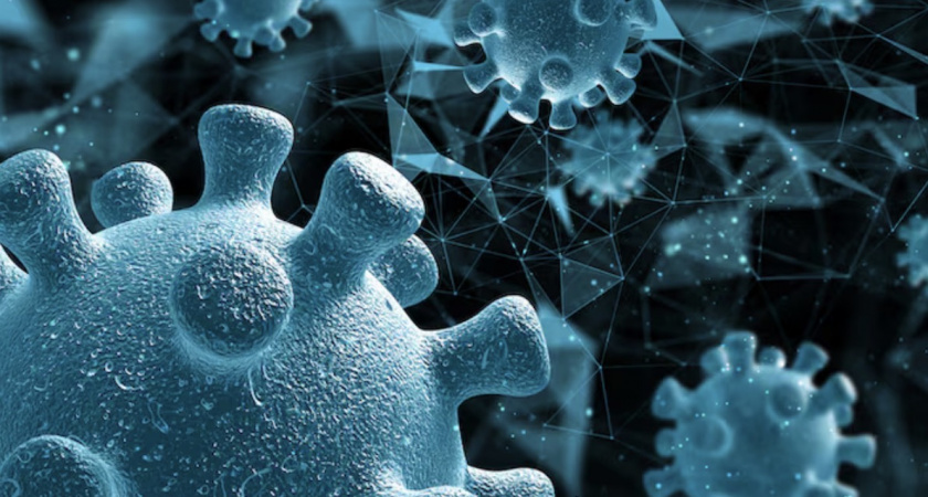 Владимирские медики рассказали о болезнетворном «невидимке»метапневмовирусе