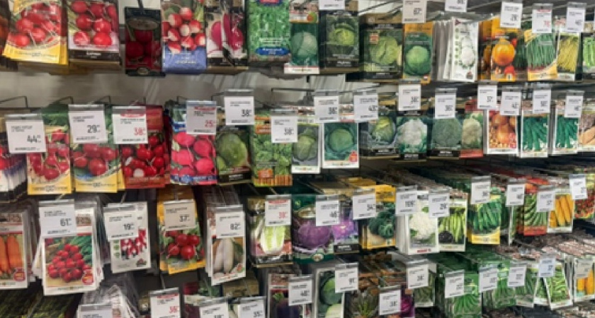 Как выбрать семена и не прогадать: теперь не ведусь на красивые картинки — чек-лист, который сэкономит вам деньги