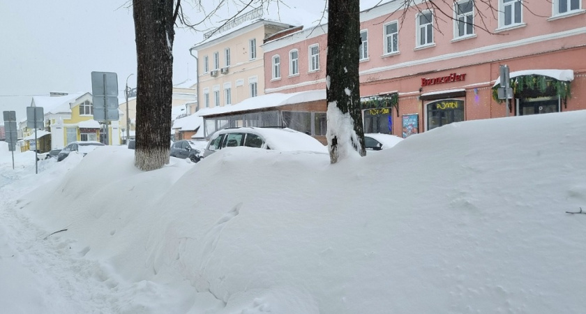"Зима на пике силы": синоптик Шувалов пообещал Центральной России сугробы до метра и затяжные метели - новый прогноз