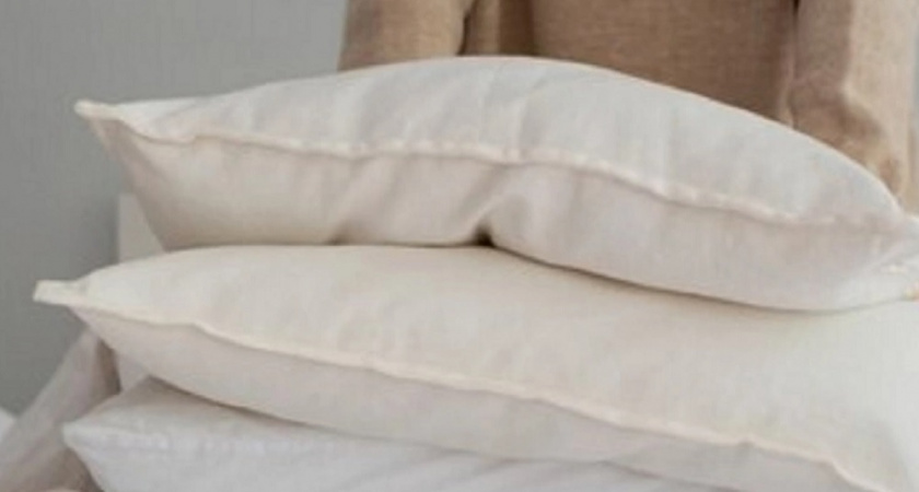Одна пыль, клещи и не только: в Роскачестве назвали худшие марки подушек - обходите их стороной
