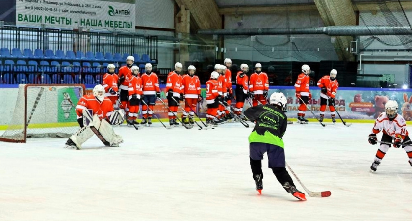 Во Владимире сформируют команду для участия в Молодёжной хоккейной лиге