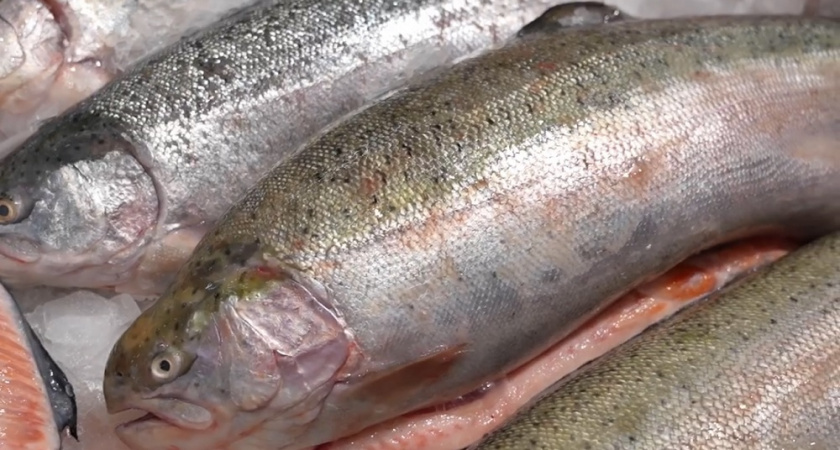 Врач Пироговского университета назвала 3 лучших вида рыбы для здоровья: что есть дважды в неделю, а что — обходить стороной?