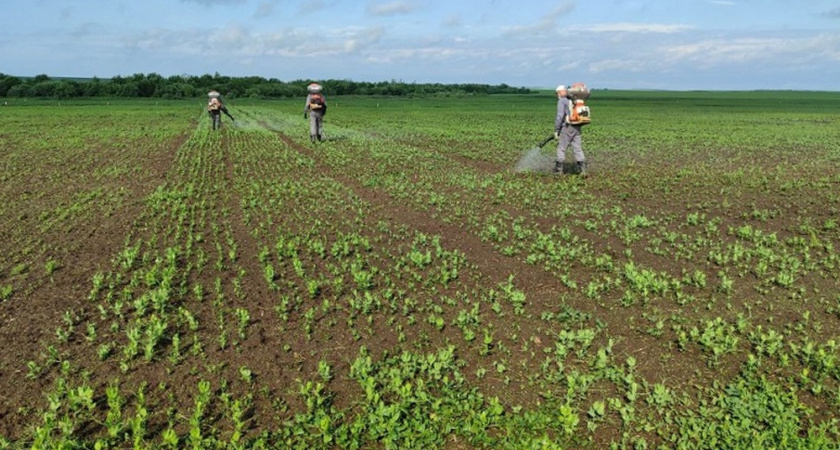 Владимирскому Россельхозцентру разрешили проводить проверку качества пестицидов