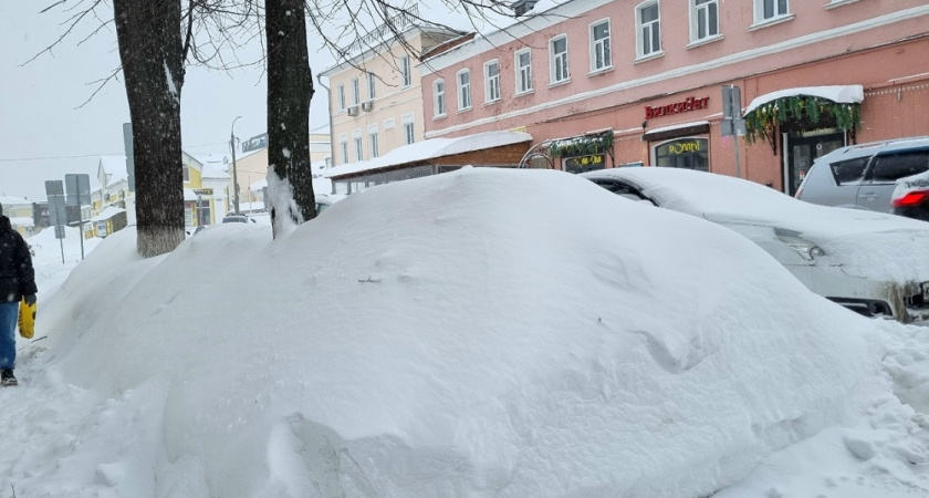 Рекордная аномалия: эта зима в Центральной России будет самой снежной за последние 60 лет - прогноз учёного