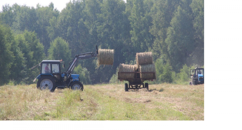 Стартовал приём заявок от сельхозпроизводителей на получение льготных кредитов