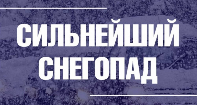 Владимирскую область 19 февраля накроет сильнейший снегопад 