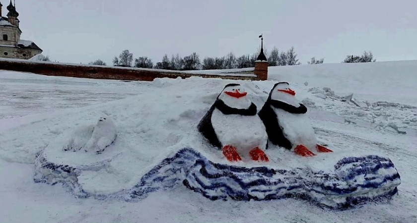 В Юрьев-Польском районе весну встречают с пингвинами 