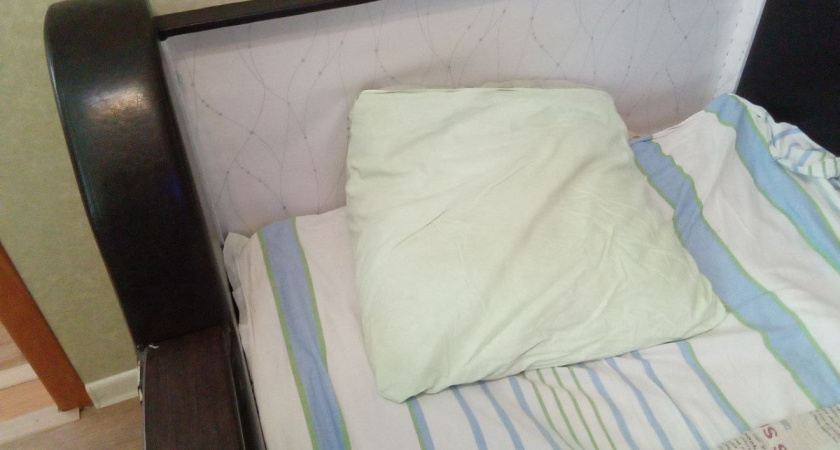 Опасны для здоровья: Роскачество назвало марки подушек с пылью и клещами - не берите их