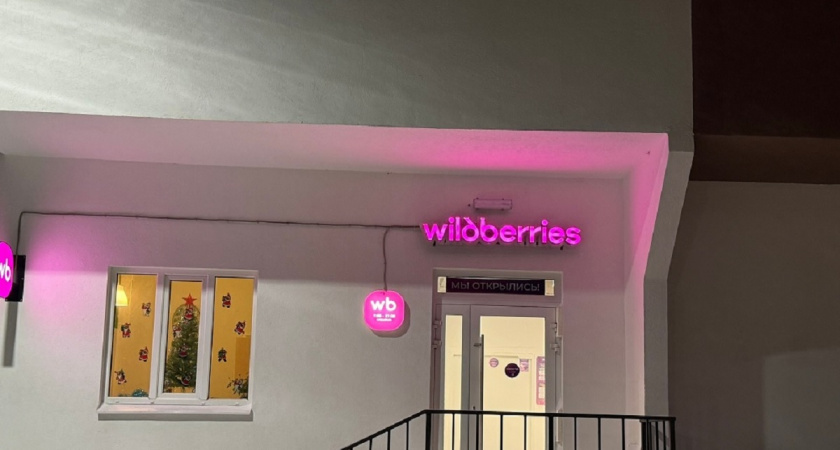 Рюкзак-чемодан, ночник-колонка и не только: 9 необычных находок с Wildberries, которые упростят жизнь - однозначно советую