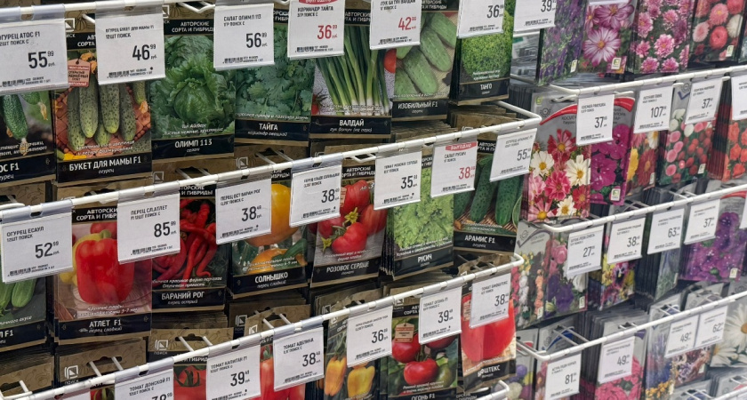 Как выбрать семена, чтобы не остаться без урожая: правило трёх «П» для выбора семян меня не подводит — запомните этот простой лайфхак